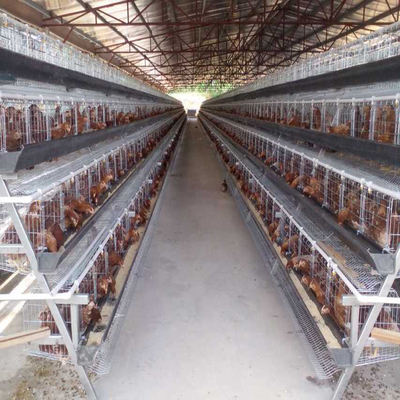 Reihen der Geflügelfarm-5 überlagern Vogel-Tierbatterie des Hühnerkäfig-250
