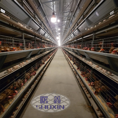 Automatische 160 Vogelschicht Geflügelfarm Käfig für Eierschichten