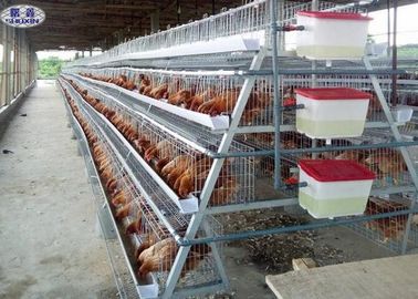 4 Stufen 128 Vogelschicht Hühnerkäfig Verzinkte Geflügelfarm für Hühner