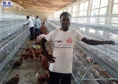 Ei-Schicht-Hühnerkäfig, Hennen-Geflügel asphaltieren Hühnerkäfig für Kenia