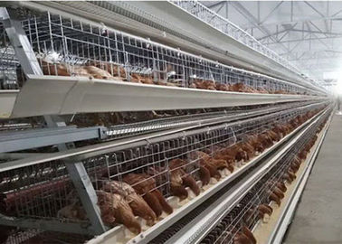 Automatische Geflügel-Hühnerkäfige mit 96/120/128/160 Vögel der Kapazität