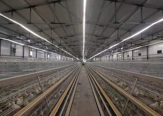 Galvanisiertes Geflügel 3/4 Reihen überlagern Hühnerkäfig-automatisches System