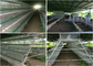 160 Hühnerautomatische Fütterungsbauernhof-Geflügel-Legehennen Käfig