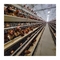 Galvanisierter Stahl Hühner-Eierkasten Großkapazität 96-160 Hühner