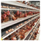 Heißverzinkte 4 Stufen Eier, kommerzielle Schichtkäfige für Geflügelfarmen