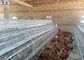 Ei-Schicht-Hühnerkäfig, Hennen-Geflügel asphaltieren Hühnerkäfig für Kenia