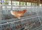 Große Geflügel-Hühnerkäfige, Geflügel überlagern Käfig-Entwurf galvanisierte Oberfläche