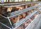Geschweißte Geflügel-Hühnerkäfige, heiße eingetauchte galvanisierte Draht-Hühnerkäfige