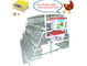Dauerhafter Q235 galvanisierter Hühnerschicht-Käfig für Handelshühnerbauernhof