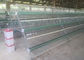 Populärer Hühnerei-Schicht-Käfig, Batterie-System für Batterie-Huhn