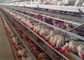 Automatische 4 Reihen 128 Vogel-Geflügel-Hühnerkäfige