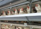 Eine Art 96 VogelHühnerei das Legen des galvanisierten Käfigs für die Schicht-Landwirtschaft