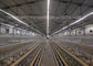 Geflügelfarm-Ausrüstung eine Art Reihen des Q235-Schicht-Hühnerkäfig-4