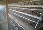 H-Art galvanisierte automatischen bettery Geflügelfarm laer Hühnerkäfig für Südafrika-Markt