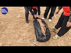 Installationsverfahren für Behälterbarrieren