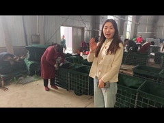 Beschreibung der Verteidigungsbarriere von verpackten Produkten