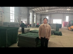 Der Workshop zur Abwehrbarriere erklärt die Produktmodelle