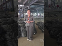 Unsichtbare Drahtnetz-Workshop Show