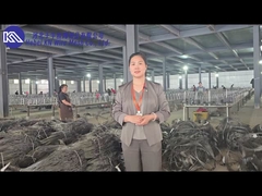 Einführung und Anzeige der Werkstatt für Panzerschranke