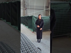 Verteidigungsbarrierenmodell 10 - Erläuterung aus der Nähe