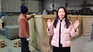 Verzinkte geschweißte Barrieren, Bastionsbarrieren, Sandflutmauer