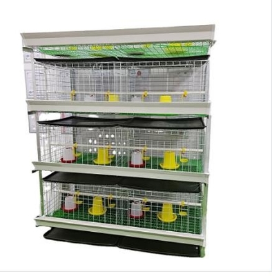 H-Typ-Batterieschicht-Hühnerkäfig Automatische Eiergeflügelfarmen