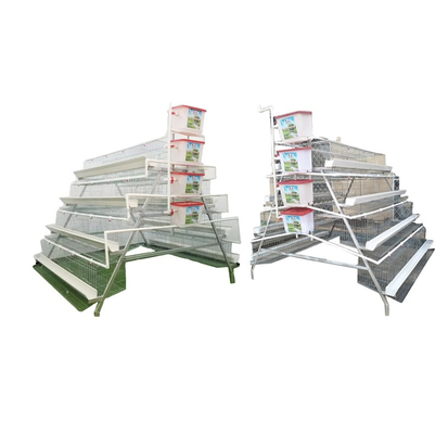 Hot Dip Galvanized Automated Layer Cages Seitenlüftung Standard-Exportverpackung