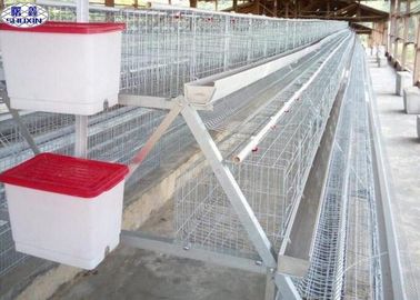 Handelsgeflügel sperrt einfache Zerlegung für Afrika-Ei-Geflügelfarm ein