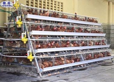 Die 10000 Ei-Schicht-Hühnerkäfig/Geflügelfarm-Schicht-Käfig fertigten Service besonders an