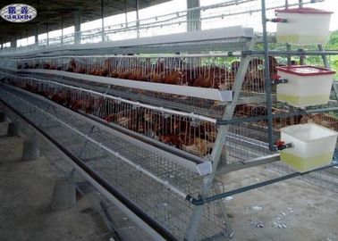 Dauerhafte Geflügel-Hühnerkäfige, automatisiertes Geflügel sperrt CER Bescheinigung ein