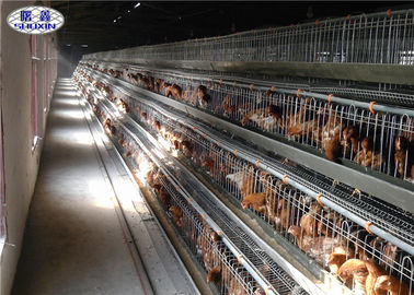 Eine Art Geflügel-Huhn sperrt die elektrische galvanisierte Hühnerkapazität der Oberflächen-120 ein