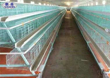 Voller automatischer Schicht-Hühnerkäfig, Handelshühnerkäfige in Philippinen
