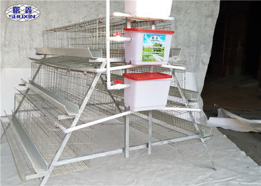 Reihen der Geflügelfarm-4 überlagern Hühnerkäfig mit Zufuhren und Wasser-System