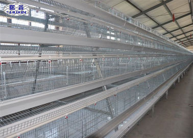 Galvanisierte Reihen-Hühnerschicht-Käfige des Bauernhof-3 für die Geflügelfütterung
