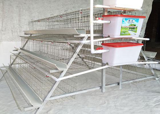 Heißes Bad galvanisierte die 96 beschichtetes Vogel-Kapazitäts-Geflügel-Hühnerkäfig PVC