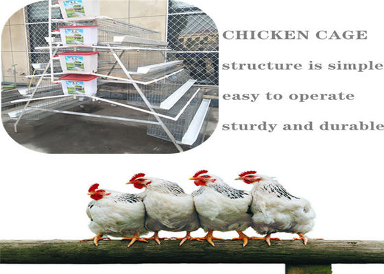 5 Reihen, die Käfig der Hühnerzucht-Q235 bewirtschaften