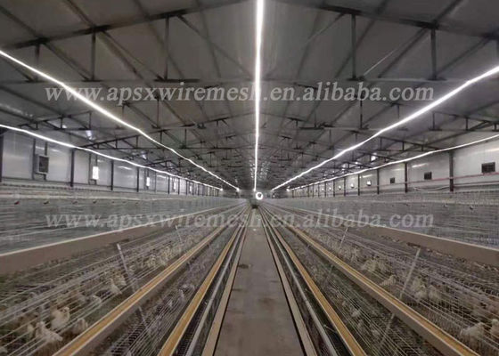 Geflügelfarm-Ausrüstung eine Art Reihen des Q235-Schicht-Hühnerkäfig-4