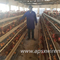 Art Schicht-Käfig des Geflügel-3tiers A hochfest für Huhn