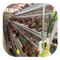 Reihen des Geflügel-Batterie-Züchtungs-Schicht-Ei-Hühnerkäfig-3