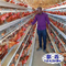 H-Typ-Batterieschicht-Hühnerkäfig Automatische Eiergeflügelfarmen