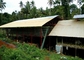 3 Reihen 4 Räume 500-1000 Vogel-Hühnerzucht-Käfige für philippinische Bauernhöfe