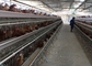 5 Zimmer 160Vögel Hühner-Schicht Batteriekäfig in automatischer Geflügelfarm