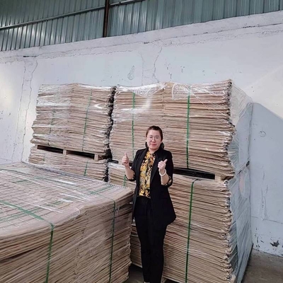 Langlebig UV-beständig Geotextilmaterial Hesco Barriere Wand Bastion Militärische Barriere Korb Zaun Sandbehälter Tasche