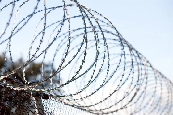 Hot Dip Galvanized Razor Barbed Wire für die Schutzisolation