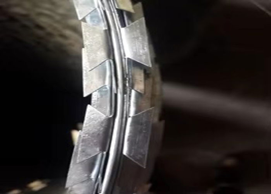 Ausgezeichnete Concertina Razor Stacheldraht-Sicherheitsbarriere