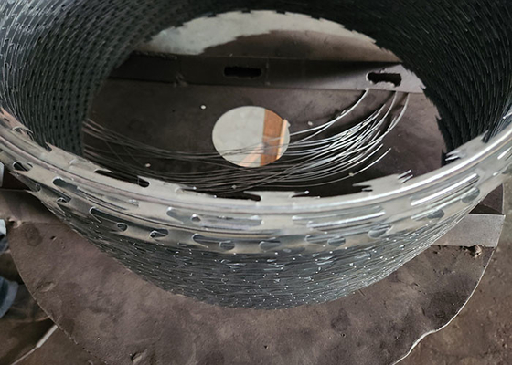 Doppelgerolltes galvanisiertes Stahl PVC-beschichtetes Rasierschild Zaundraht Wandspitze Direkt bezogen