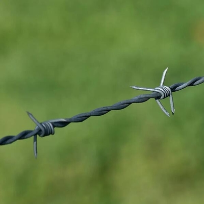 Verzinktes Stacheldraht Verzinktes Stacheldraht Preis 250 m pro Rolle niederländisches Netz Metallschutzgelände Stacheldraht Tbar Dehnwerkzeug für Stacheldraht CE-Zertifikat