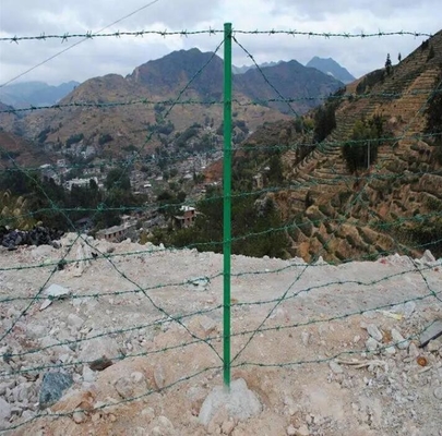 25mm Stacheldraht galvanisierter Diebstahlschutz Stacheldraht Sicherheitszaun aus Stacheldraht 12 Gauge aus kohlenstoffarmem Stahl galvanisierter Stacheldraht Pakistan Stacheldraht mit CE-Zertifikat