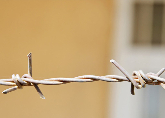 Verwendung von Gefängniswänden Doppeldrehte, heiß getauchte, galvanisierte Stacheldrahtspulen
