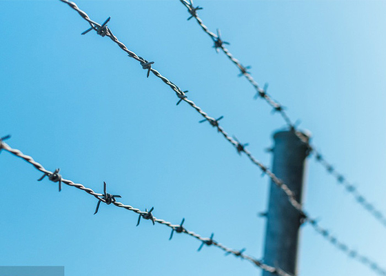 Verwendung von Gefängniswänden Anti-Klettern Einzelstrang PVC beschichtet Stacheldraht